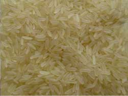 Long Grain Parboiled Rice Manufacturer Supplier Wholesale Exporter Importer Buyer Trader Retailer in Nagpur Maharashtra India
